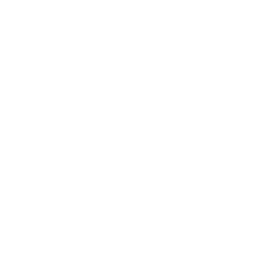Conhecimento Prático Icon